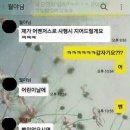 꼬시기 Daum카페