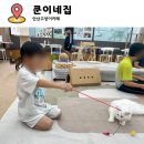 대흥카서비스 | 비오는 날 실내데이트로 딱 안산고양이카 쿤이네집 고양이카페 방문기