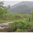 좋은길공인중개사사무소 이미지