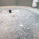 대성소프트 이미지