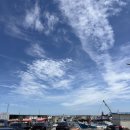 블루오션스킨스쿠버 이미지