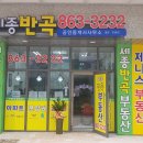 세종반곡공인중개사 사무소 위치 안내 (수루배마을 3단지 323동 1층 상가) 이미지