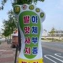 흥덕구 오송읍에서 찾은 보물 같은 피부·체형관리샵! 명품오행 웰빙 쑥 테라피 후기