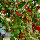 보리수미용실 이미지