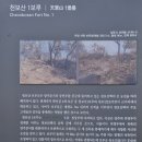 천보산 유아숲체험원 이미지