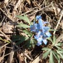 점리마을 이미지