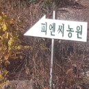 화목농장 이미지