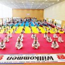 용인대한국태권도장 이미지
