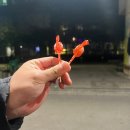 춘천 풍물생고기 노포 분위기가 넘치는 풍물시장 맛집