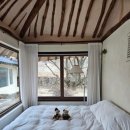 스테이모네 이미지