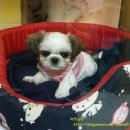 시티종합동물병원 이미지