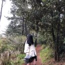 오름수산 이미지