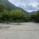 왕피천 하늘담 야영장 이미지