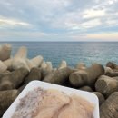 33떡볶이 동해천곡점 | 아이와 2박3일 삼척여행 해양레일바이크 천곡황금박쥐동굴 3일차