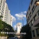 전농신성미소지움 앞 이미지