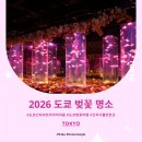1872 핀 | 2026 도쿄 벚꽃 여행 필수 코스, 긴자 아트 아쿠아리움 솔직 후기 및 소요시간