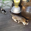 동백섬민박 이미지