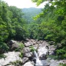 지리산계곡 Daum카페