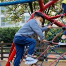 1-37호어린이공원 이미지