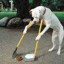 365 마음동물병원 이미지