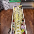 더조은요양병원 이미지