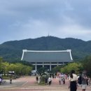 국수나무독립기념관점 이미지