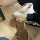 유미네민박 - 울릉군 도동2길 12-21 | 유미네민박