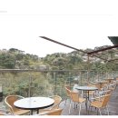 숲커피숍 이미지