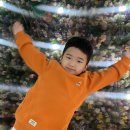 산타스토어 | 스타필드 고양 크리스마스 레고 팝업스토어 평일 방문 후기🎄 산타워크샵 포토존