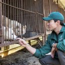 이부산농장 이미지