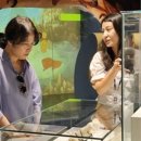 석장리박물관8 이미지