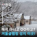 글램핑판 | 입소문난 겨울글램핑 성지?! 부여 판앤팜치유정원 부여여행으로 가기 좋은 글램핑장 농촌글램핑