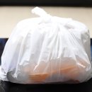 필라프데이 이미지