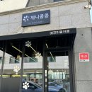 애견카페 제니콩콩 | 원주 반곡동 신상 애견카페, 애견미용, 호텔링도 가능한 제니콩콩