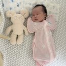 💙 선물 받은 스와들업 후기!! 공유해요~!