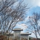 [전남,전북여행] 강진 남미륵사 | 내소사 | 청자박물관 | 가볼만한곳 추천