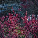 묵방농원 이미지