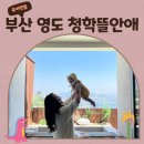 청학뜰안애 | 6개월 아기랑 여행 갈만한곳 부산 영도 청학뜰안애