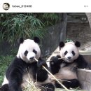 마이리커피로스터스 | 주간일기: 바오들 생일축하해, 여름나기 일상, 랄라라운지 슬라이드뮬, 초복기념 남한산성백숙...