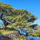 16코스(고내포구-항파두리-광령1리) #1-3 | [제주올레 16코스] 고내에서 광령까지, 바다와 마을의 이야기를 따라 걷는 길