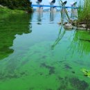 금강의원 이미지