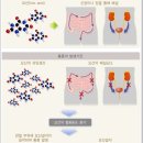 평택오산요양병원 네이버블로그