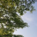 휴파크(국민여가캠핑장) 이미지