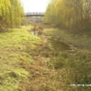 한내사거리 이미지