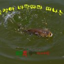 성화낚시터 이미지