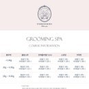 뽀드득 블랑스파 이미지