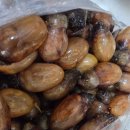 마산 진동미더덕 맛본 후기, 명성수산 선택한 이유