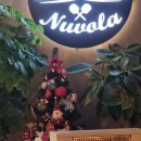 피제리아누볼라 이미지