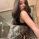 손거미
