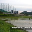 향토마을 Daum카페